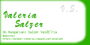 valeria salzer business card